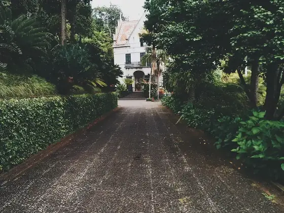 Gartenweg mit Hecken zum Haus